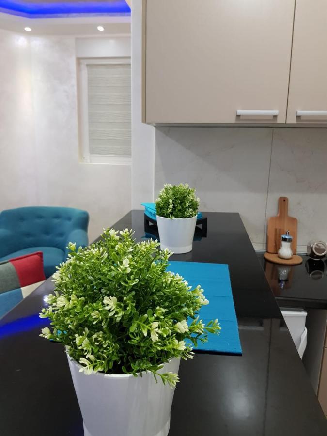 Apartmani Venera Beograd Bagian luar foto